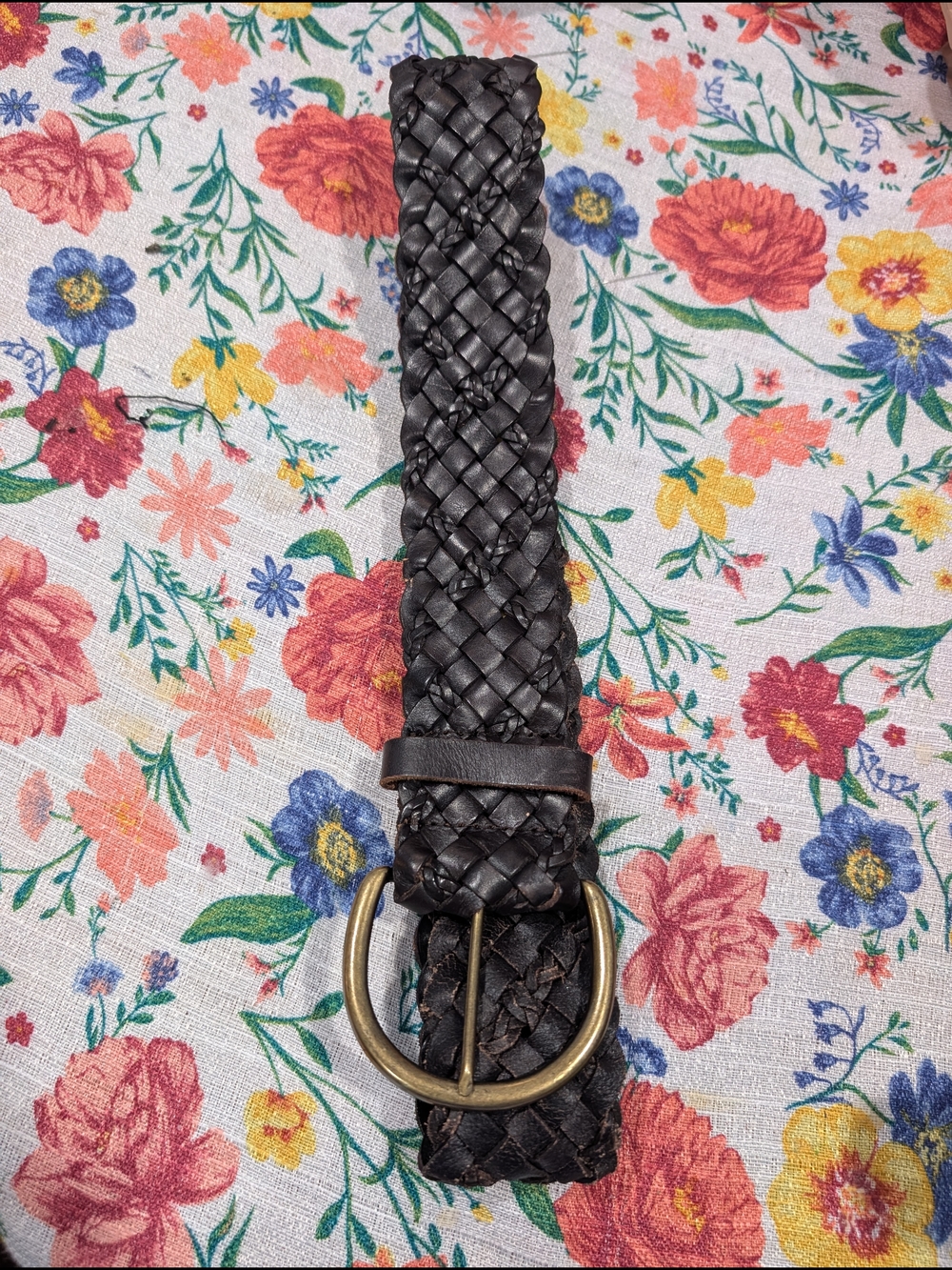 Ann Taylor Loft New Braided Leather Belt in Dark Brown with Brass Buckle